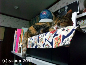 新しいお気に入り、エプソンPX201プリンターの上で眠るフク