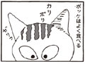 うちのコのカリカリ