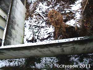 フクが歩いた跡