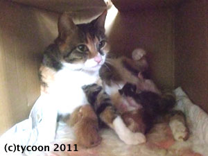 DSCF5370 次々と赤ちゃんが産まれてきます