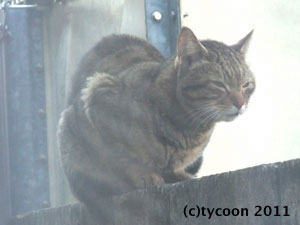 DSCF5161 子供たちの父親か?