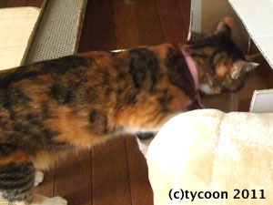 DSCF5601 産箱に入るとき…