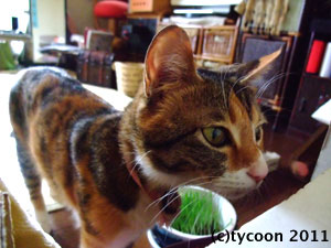 DSCF5603 子供の数を数えています