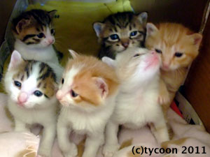 外が気になる様子です