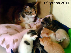 初めての外出です