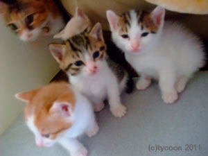 フクママもチェック！