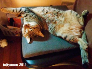 DSCF7820 4キロ超えたブンタくん