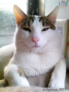 DSCF7861 お調子もののテツ