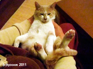 DSCF7866 甘えっ子ジンジン