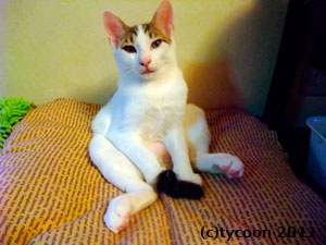 テツのおっさん座り