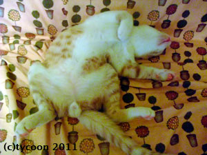 ジンジンの大股開き！