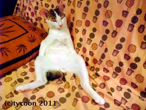 暑くてダラダラ、おっさんテツ