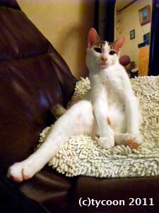 片足を投げ出したテツ