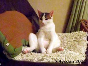 このヘタっとしてるとこがいいんです-テツ