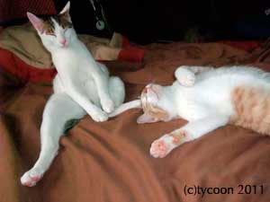 就業のごとく…おっさんテツ