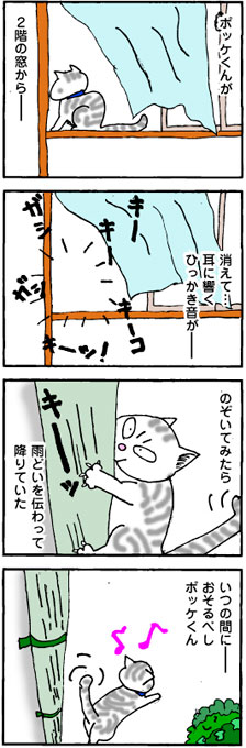 ポケネコ本舗1