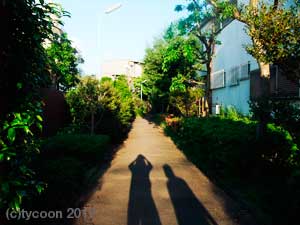 気持ちのいい小径の夕景