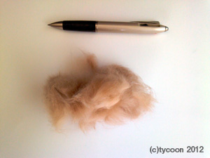 P1000239 わずか数分の櫛梳きでこんなに毛が!うらやましい!