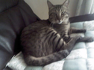 P1000303 1歳5カ月、成長を感じます